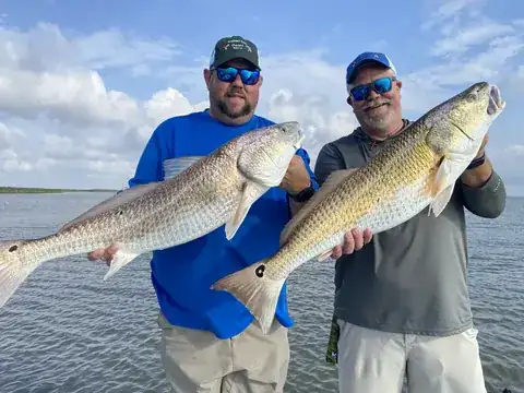 Two anglers each holding a bull redfish near Venice, Louisiana