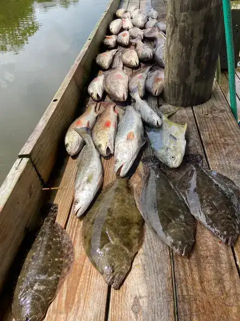 Redfish and flounder laid out on the cleaning dock in Venice, Louisiana
