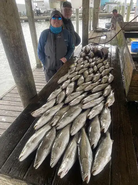 Two anglers beside rows of speckled trout on the cleaning dock in Venice, Louisiana
