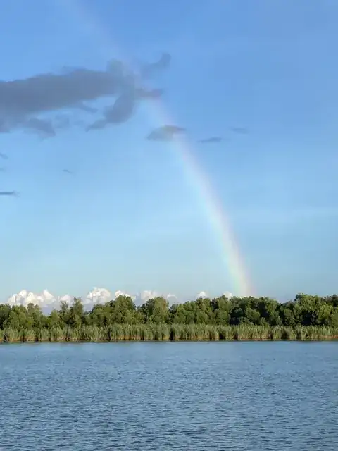 A rainbow rising from the tree line across the water near Venice, Louisiana
