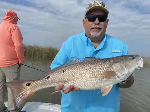 Angler in a light blue shirt holding a redfish beside the marsh near Venice, Louisiana