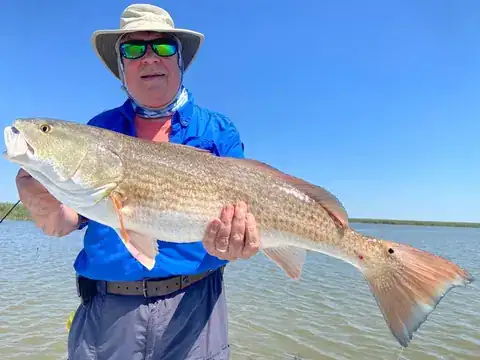 Angler in a blue shirt and sun hat holding a redfish near Venice, Louisiana