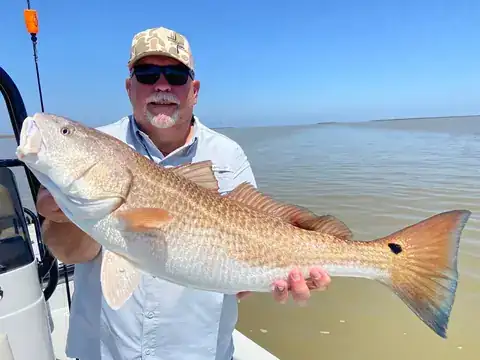 Angler in a camo cap holding a redfish near Venice, Louisiana