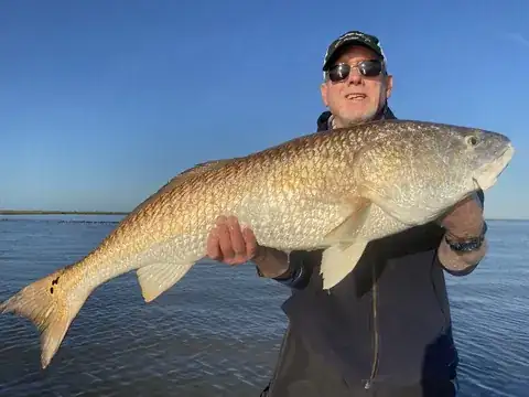 Angler in a dark jacket holding a redfish under a clear blue sky near Venice, Louisiana