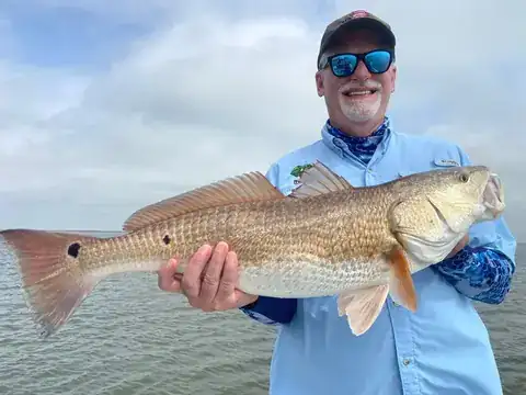 Angler in a light blue shirt holding a redfish near Venice, Louisiana
