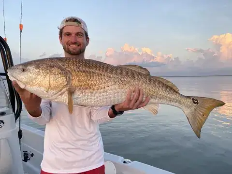 Angler in a white shirt holding a redfish under a pastel dawn sky near Venice, Louisiana
