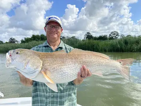 Angler in a plaid shirt holding a redfish in front of the marsh under tall clouds near Venice, Louisiana
