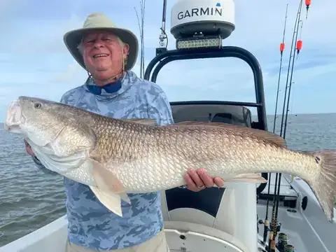 Angler in a sun hat holding a large redfish beside the boat's console near Venice, Louisiana