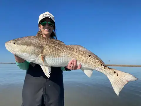 Angler holding a redfish on a sunny morning near Venice, Louisiana