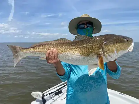 Angler in a teal shirt and sun hat holding a redfish out in front of him near Venice, Louisiana