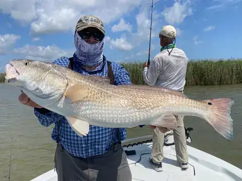 Angler holding a large redfish while a second angler casts from the bow near Venice, Louisiana