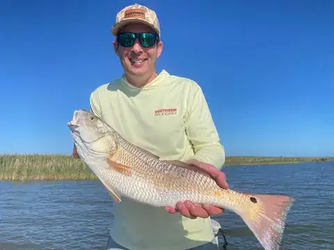 Angler in a yellow shirt holding a redfish in front of marsh grass near Venice, Louisiana