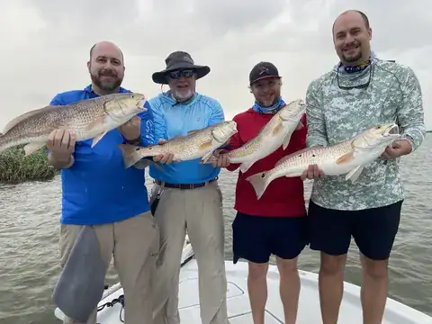 Four anglers on the bow each holding a redfish near Venice, Louisiana