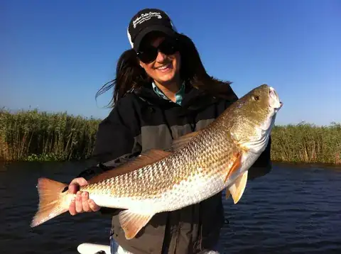 Angler in a Southern Delta Charters cap holding a redfish in front of marsh cane near Venice, Louisiana
