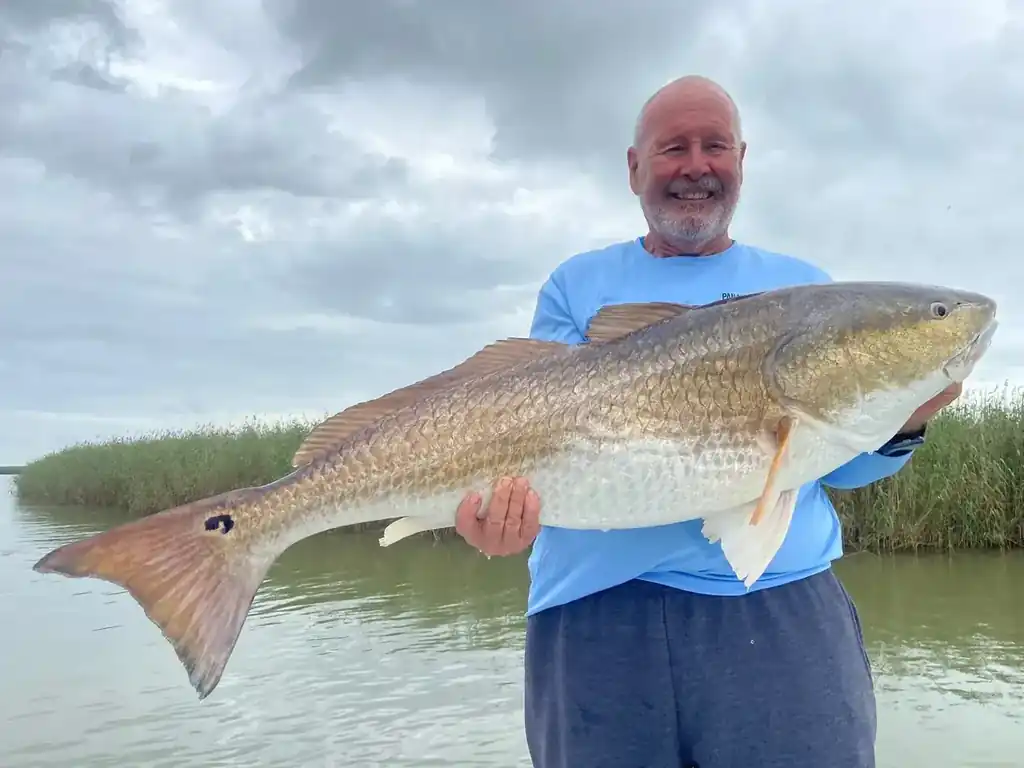 Angler holding a large redfish with delta marsh grass behind him near Venice, Louisiana