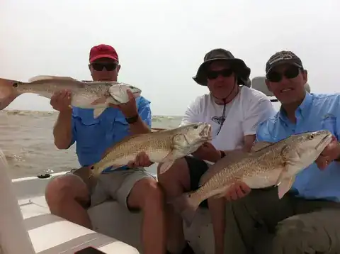 Three anglers seated in the boat each holding a redfish