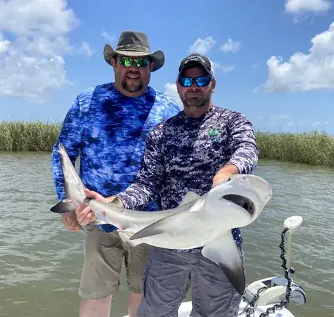 Two anglers holding a small shark beside the marsh near Venice, Louisiana