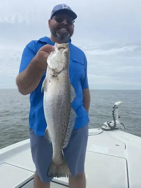 Angler in a blue shirt holding up a speckled trout on the bow near Venice, Louisiana