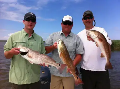 Three anglers on the boat each holding a redfish under a blue sky near Venice, Louisiana